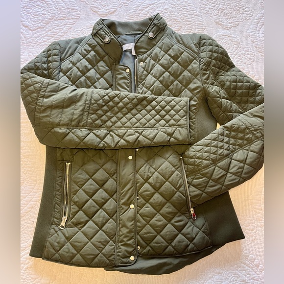 New York & Company Jackets & Coats Nyco Quilted Army Green Light